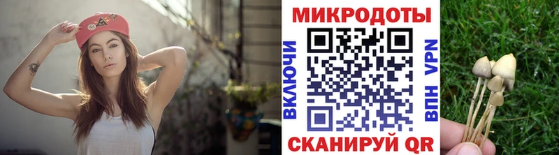 Галлюциногенные грибы MAGIC MUSHROOMS  цены   Балашов 